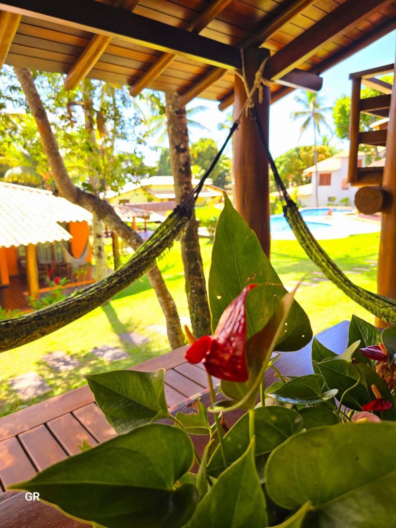 Top Houses Village Tropical Centro De Arraial 塞古罗港 外观 照片